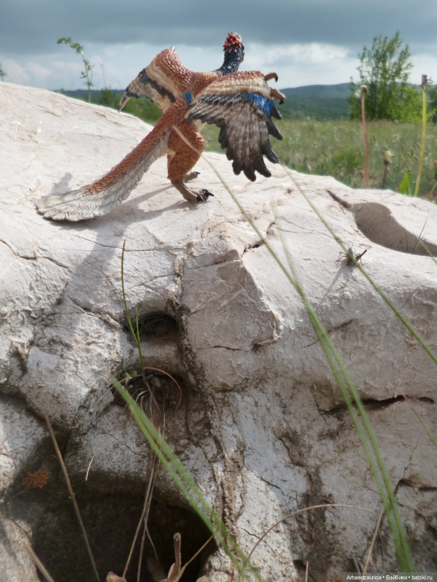 Путешествие Зурги: горные тропы