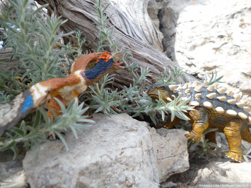 Путешествие Зурги: горные тропы