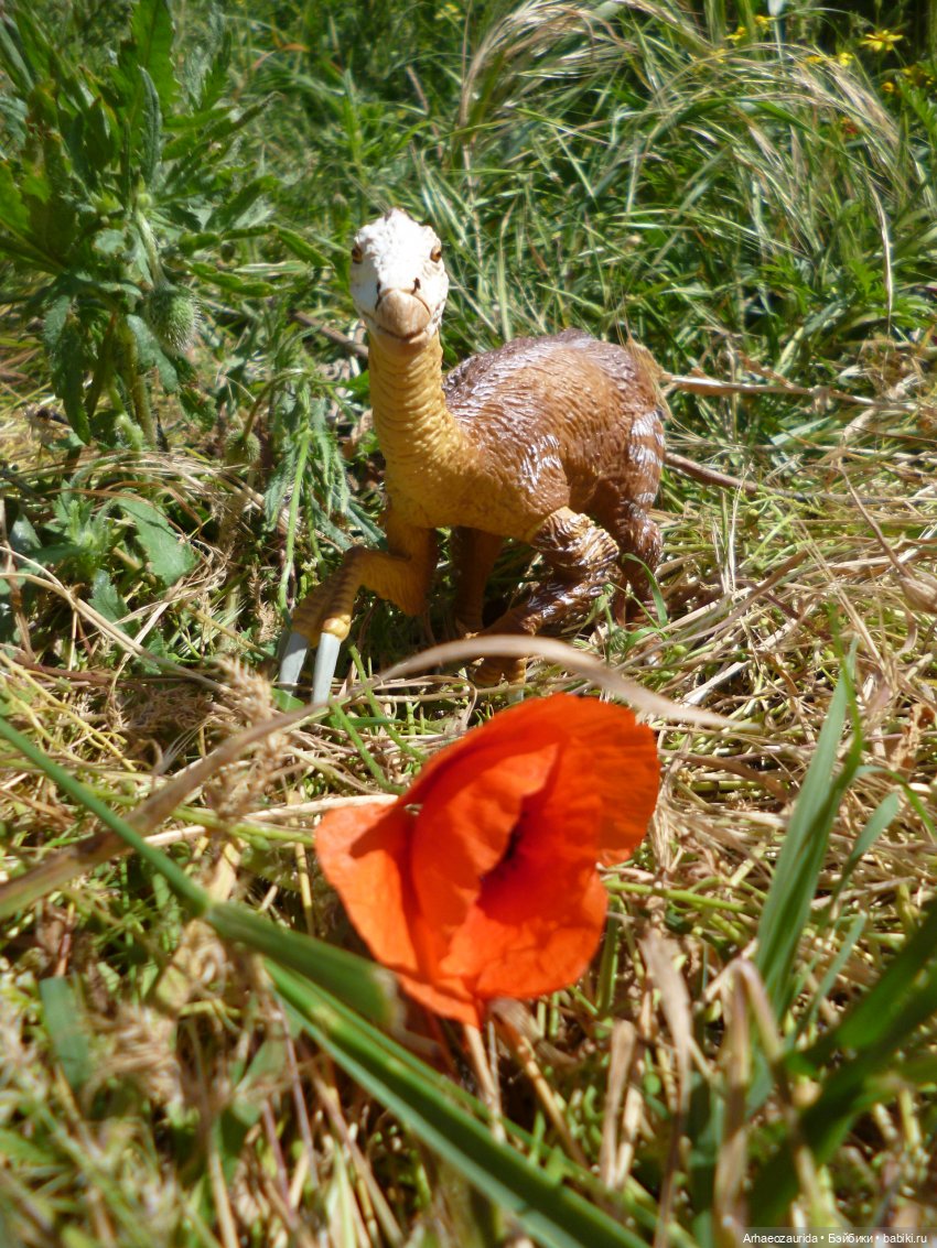 Путешествие Зурги: горные тропы