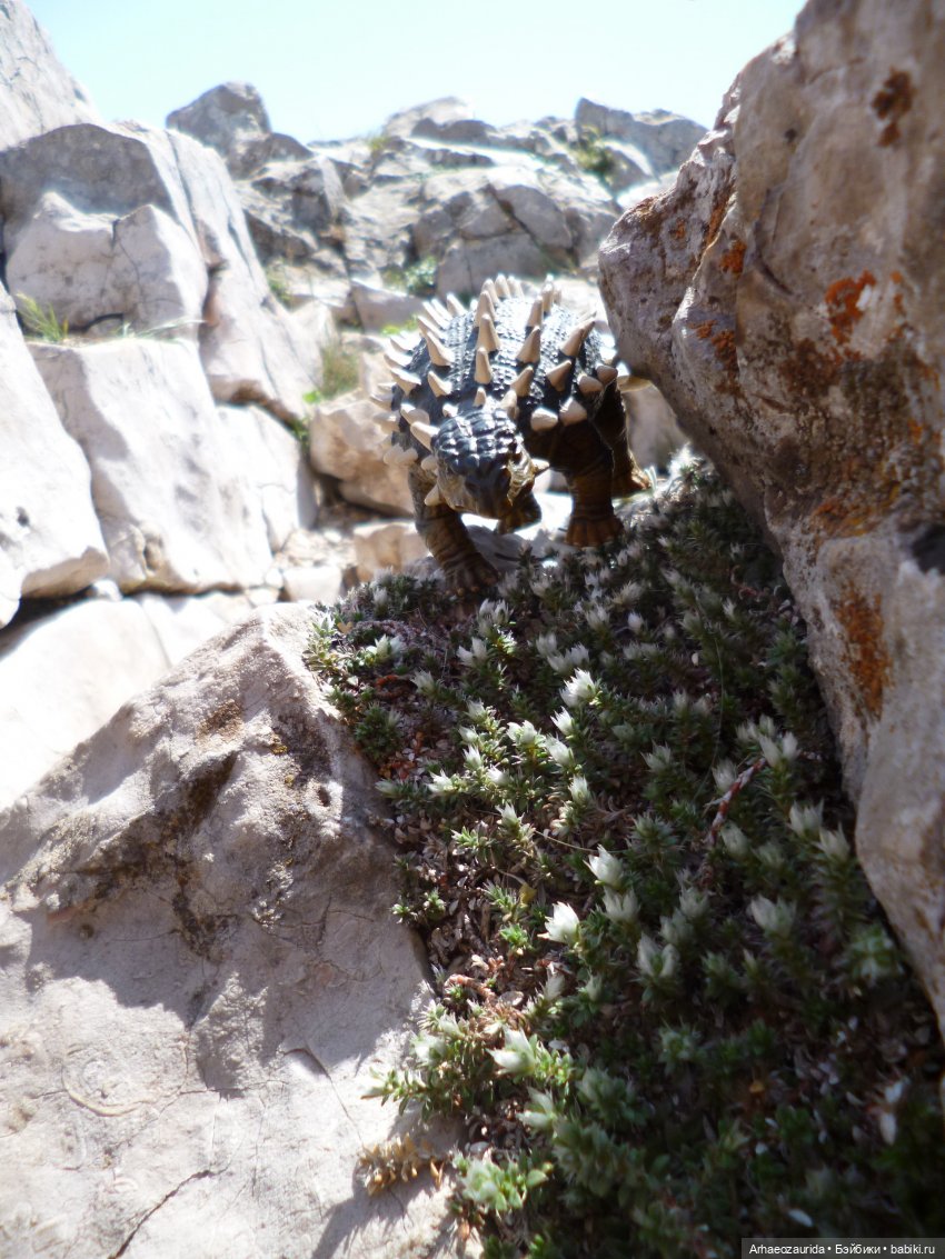 Путешествие Зурги: горные тропы