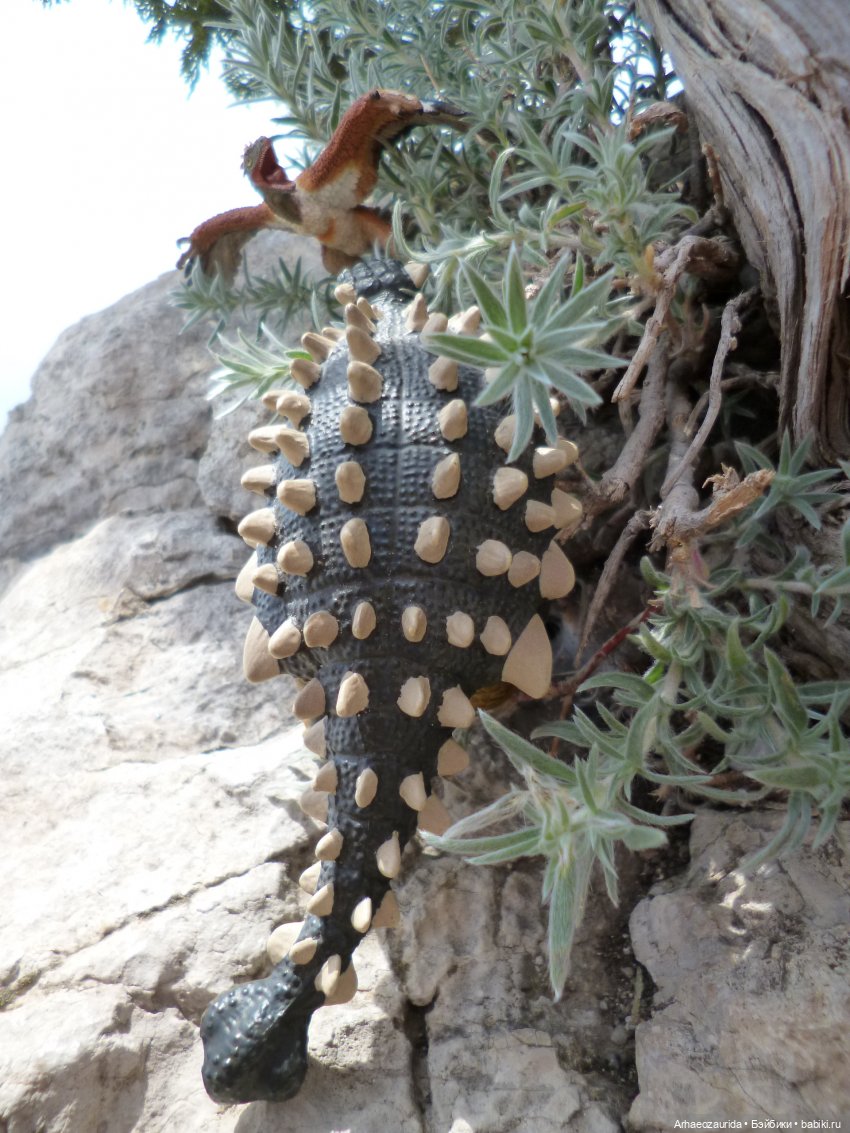 Путешествие Зурги: горные тропы