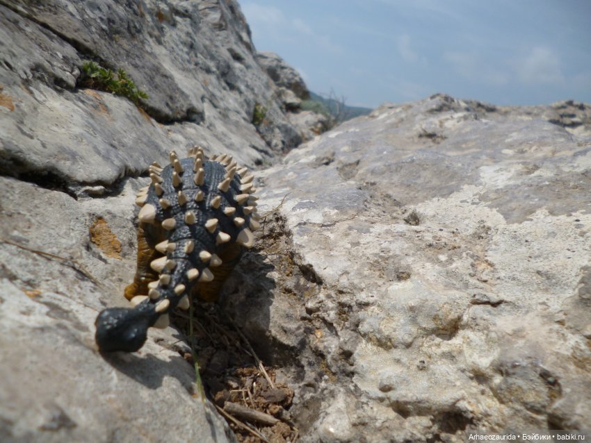 Путешествие Зурги: горные тропы (фото 6)