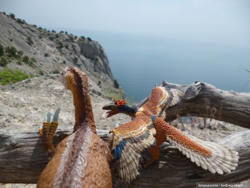 Путешествие Зурги: горные тропы (фото 9)