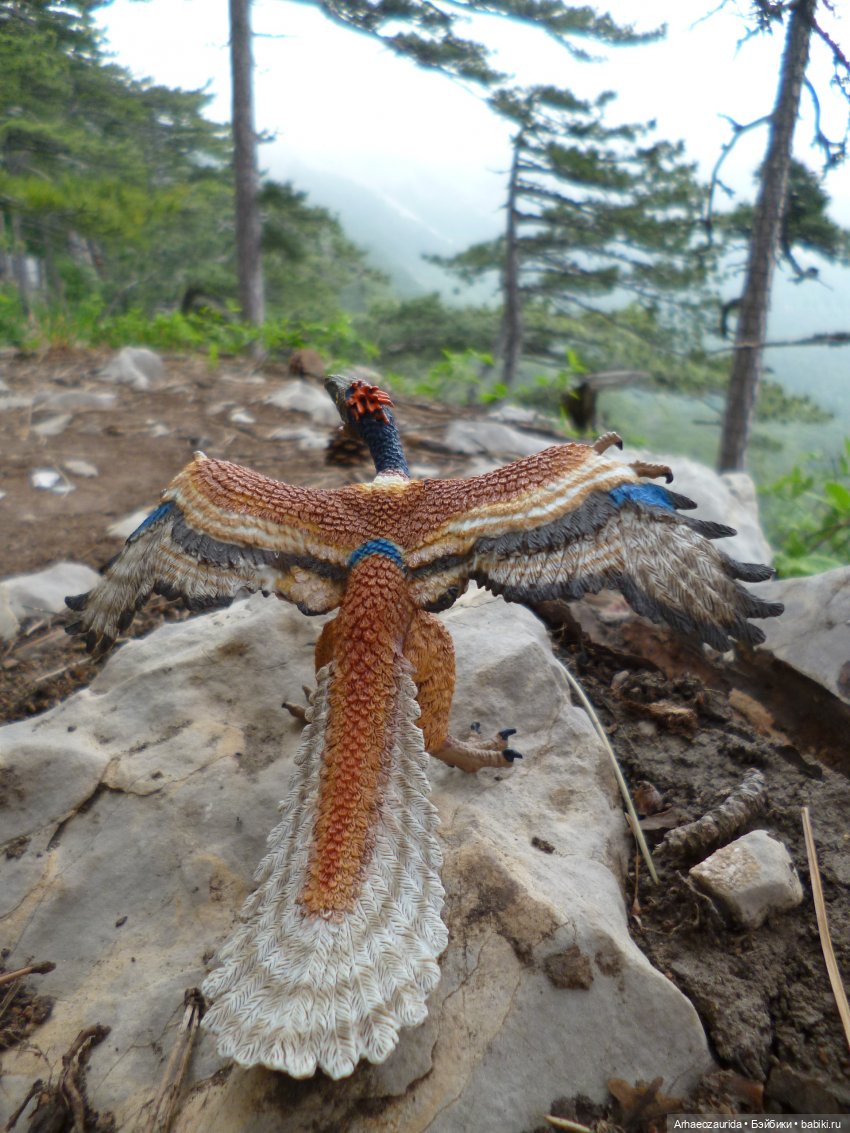 Путешествие Зурги: горные тропы