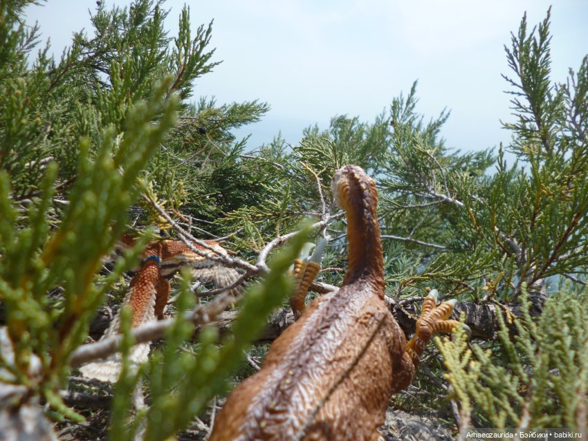 Путешествие Зурги: горные тропы (фото 7)