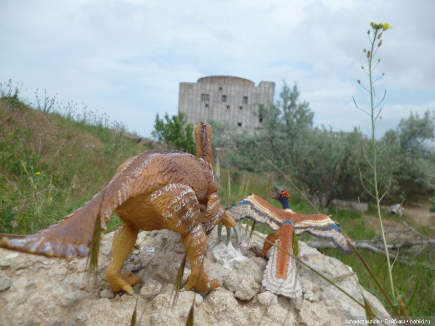 Путешествие Зурги: древнее гнездовье (фото 3)