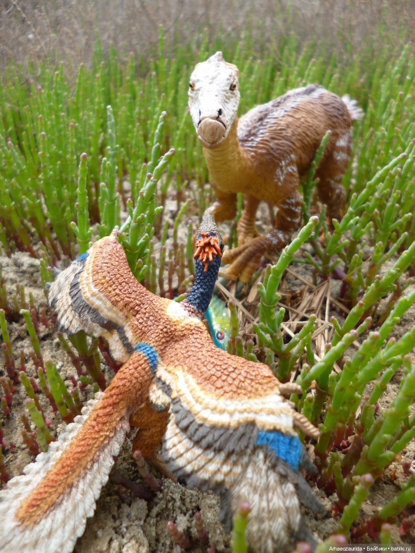 Путешествие Зурги: древнее гнездовье