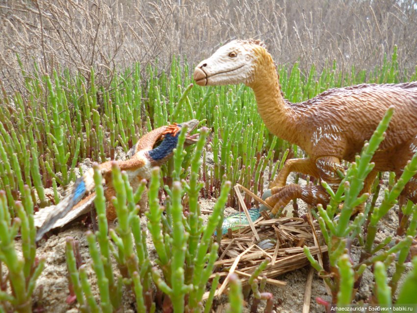 Путешествие Зурги: древнее гнездовье