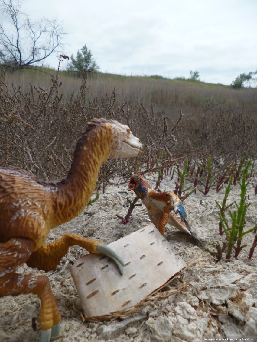 Путешествие Зурги: древнее гнездовье