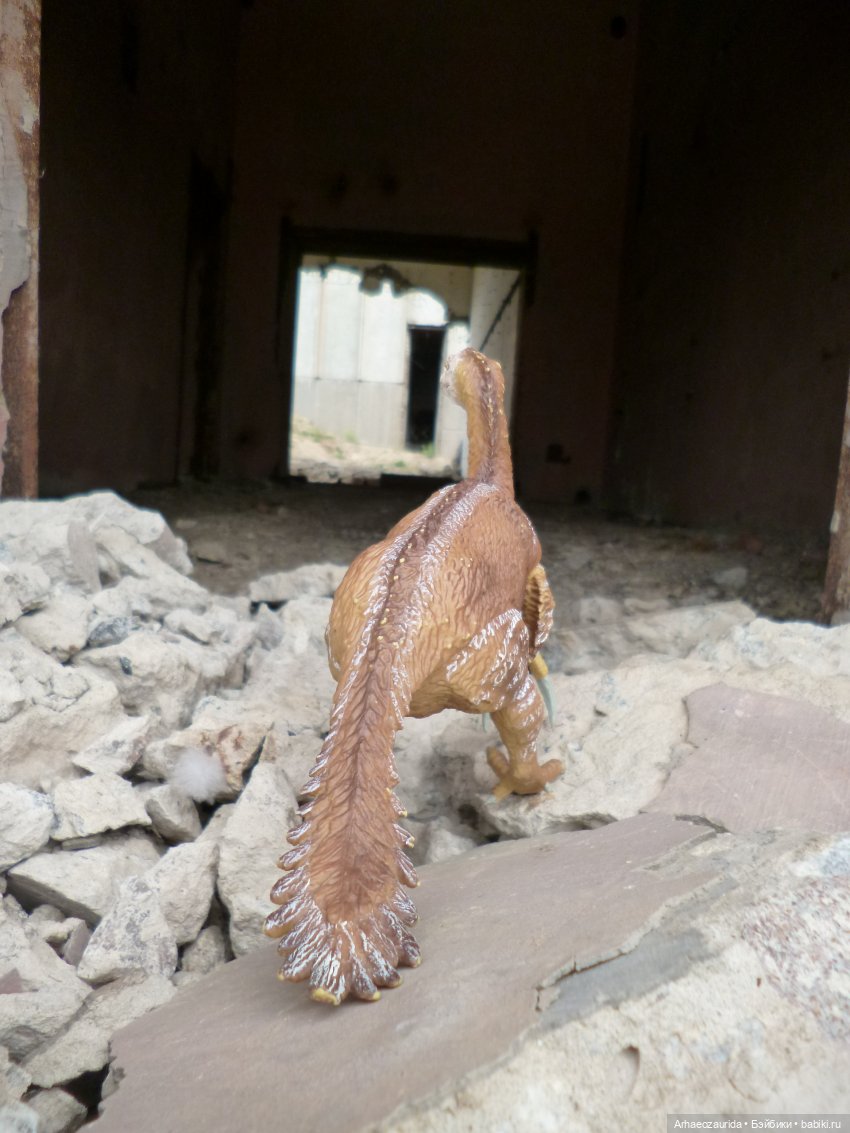 Путешествие Зурги: древнее гнездовье (фото 8)