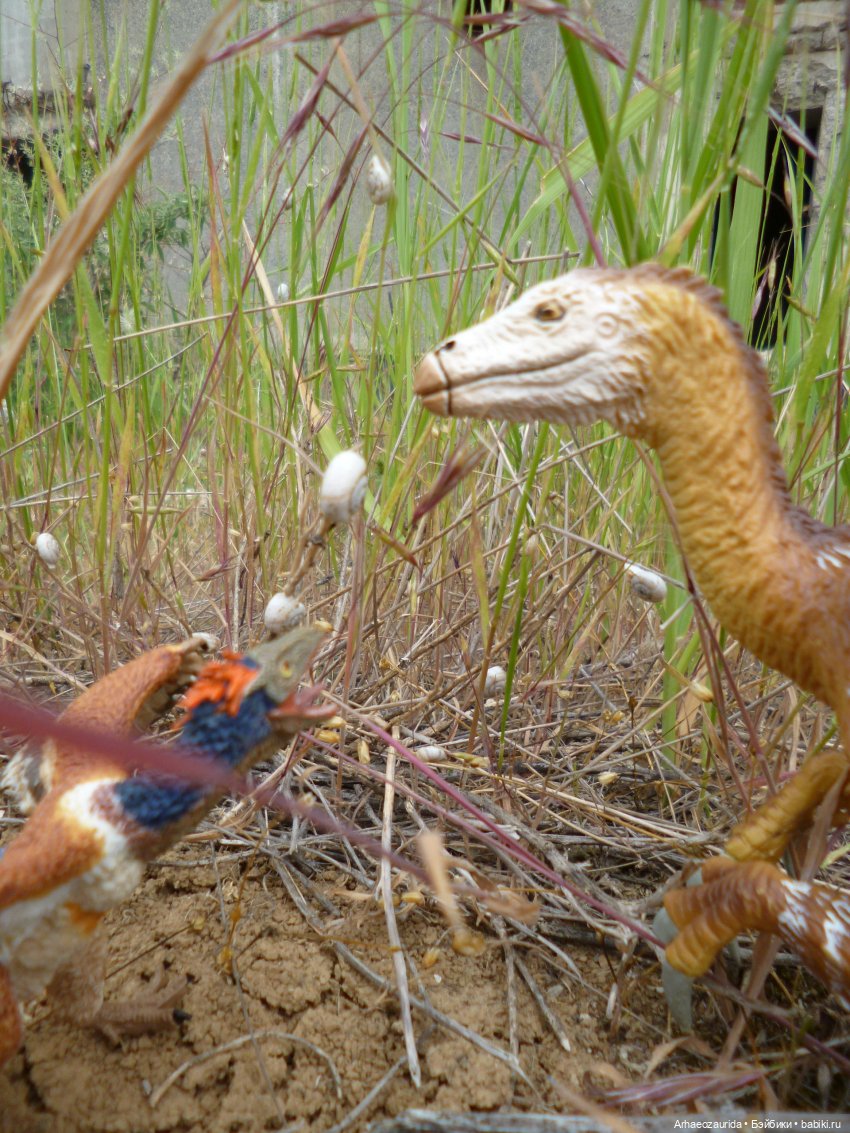 Путешествие Зурги: древнее гнездовье (фото 5)