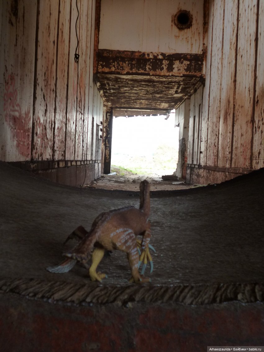 Путешествие Зурги: древнее гнездовье (фото 9)