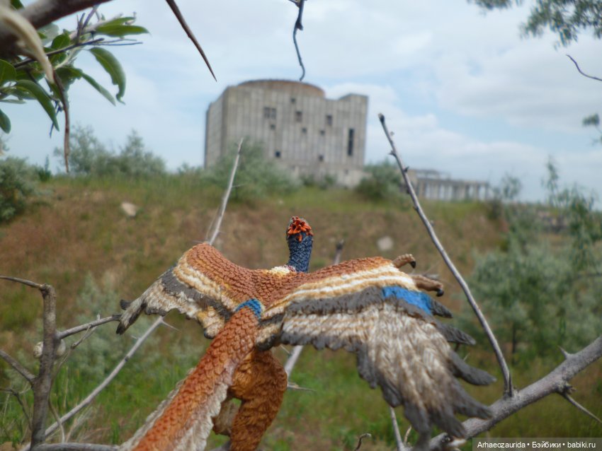 Путешествие Зурги: древнее гнездовье (фото 2)