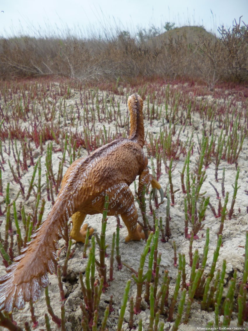 Путешествие Зурги: древнее гнездовье