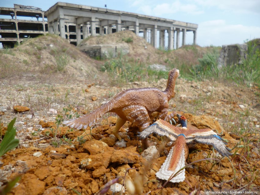 Путешествие Зурги: древнее гнездовье (фото 7)