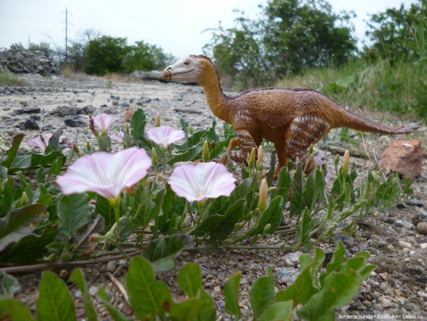 Путешествие Зурги: древнее гнездовье