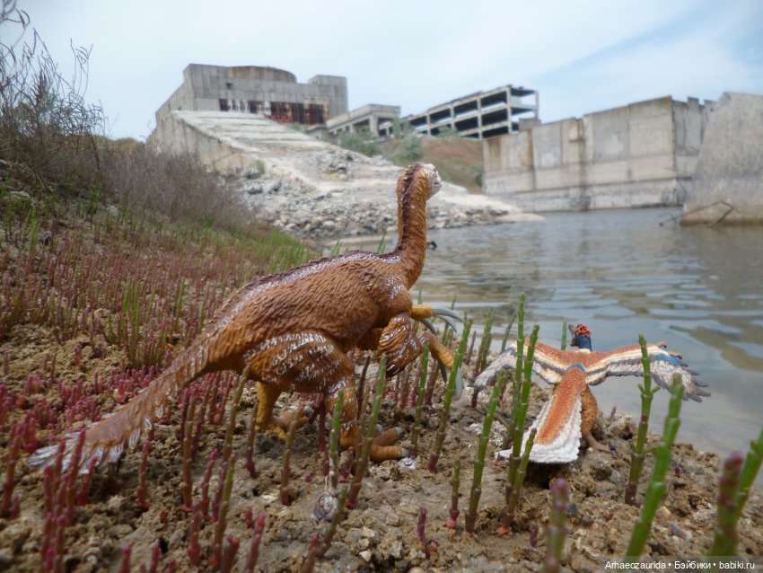 Путешествие Зурги: древнее гнездовье (фото 10)