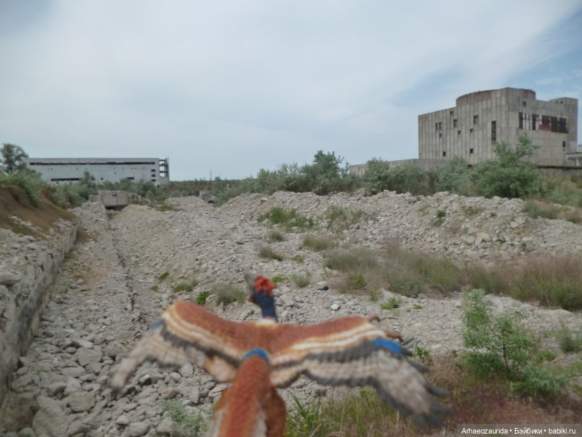 Путешествие Зурги: древнее гнездовье (фото 4)