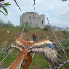 Путешествие Зурги: древнее гнездовье