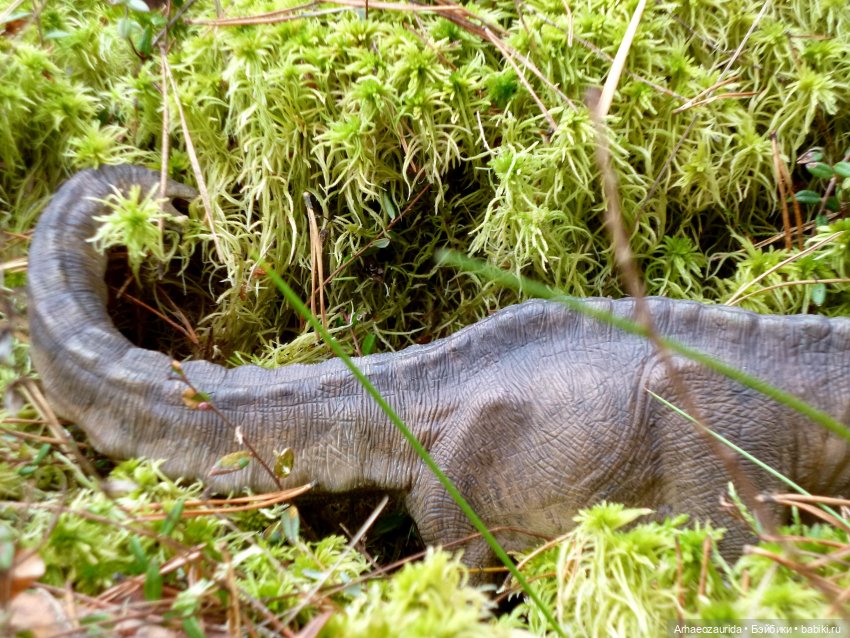 Лесные дела: блуждающий гигант (фото 2)