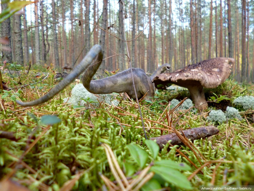 Лесные дела: блуждающий гигант