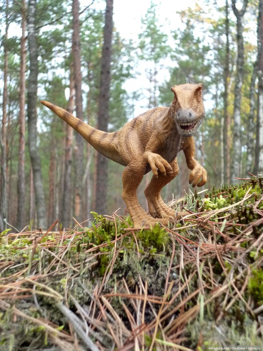 Лесные дела: блуждающий гигант