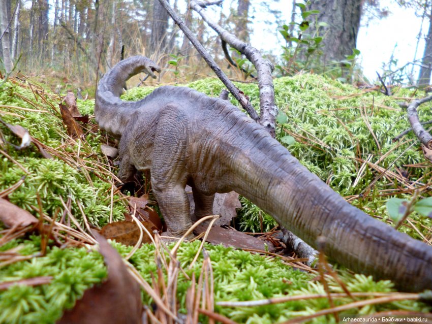 Лесные дела: блуждающий гигант