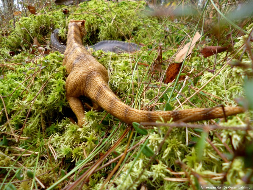 Лесные дела: блуждающий гигант