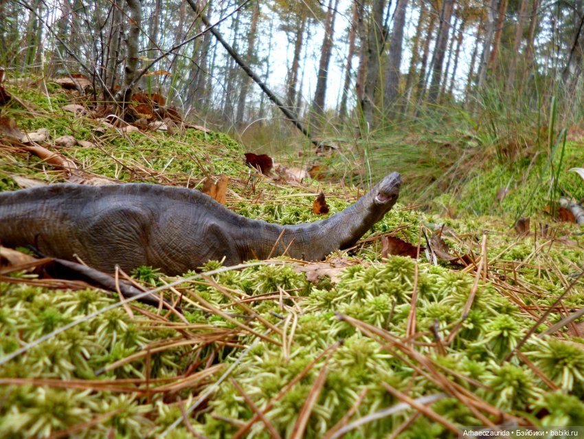 Лесные дела: блуждающий гигант (фото 5)