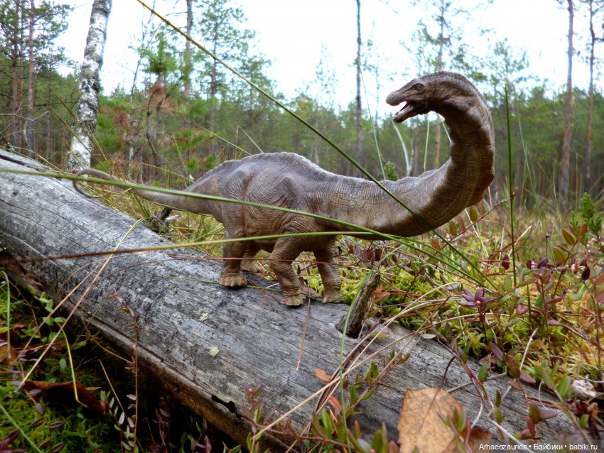 Лесные дела: блуждающий гигант