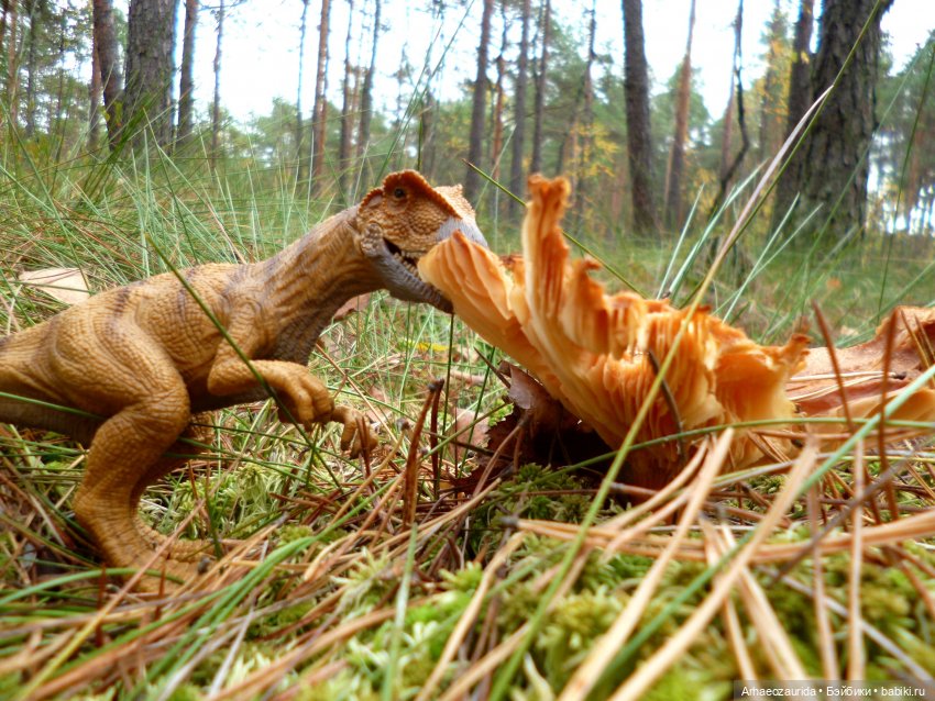 Лесные дела: блуждающий гигант