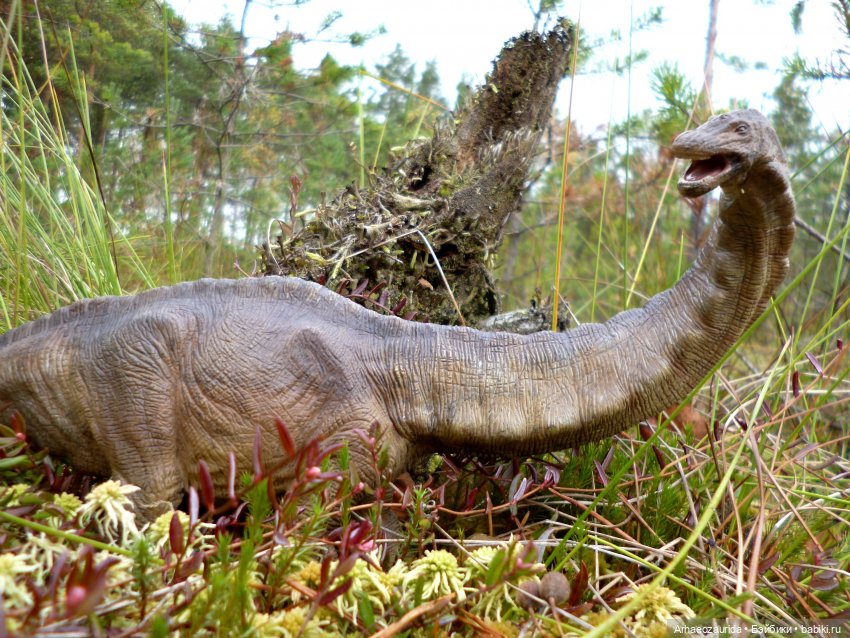 Лесные дела: блуждающий гигант