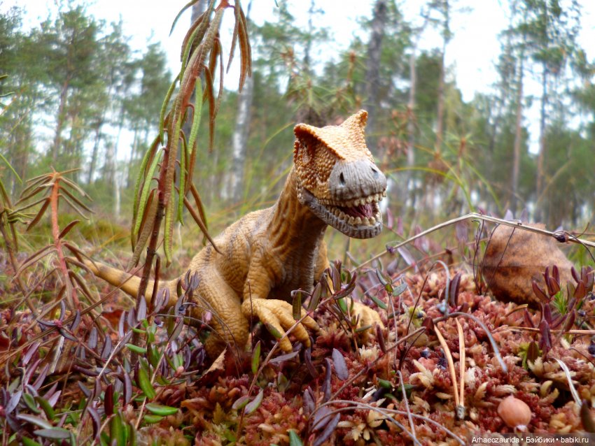 Лесные дела: блуждающий гигант