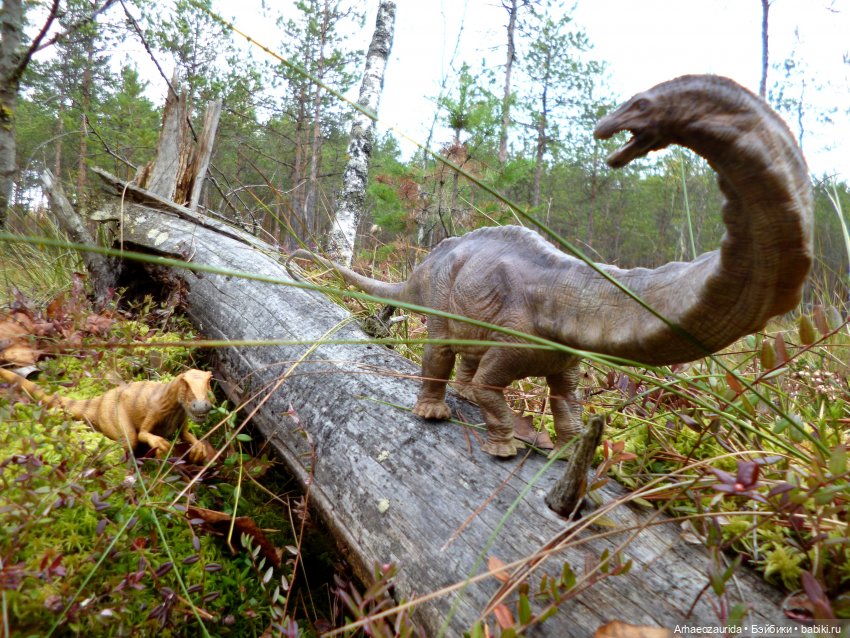 Лесные дела: блуждающий гигант