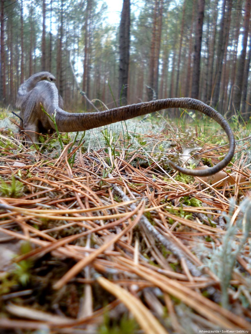 Лесные дела: блуждающий гигант
