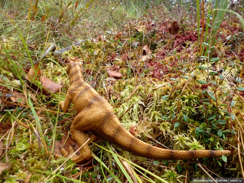 Лесные дела: блуждающий гигант