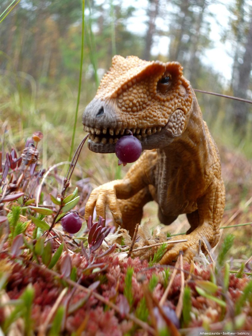 Лесные дела: блуждающий гигант