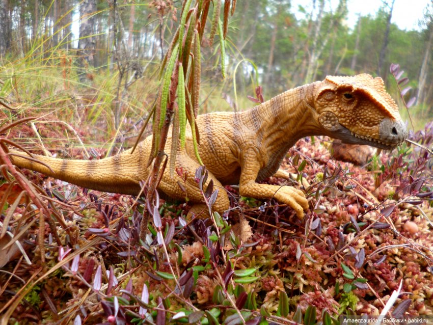 Лесные дела: блуждающий гигант (фото 8)