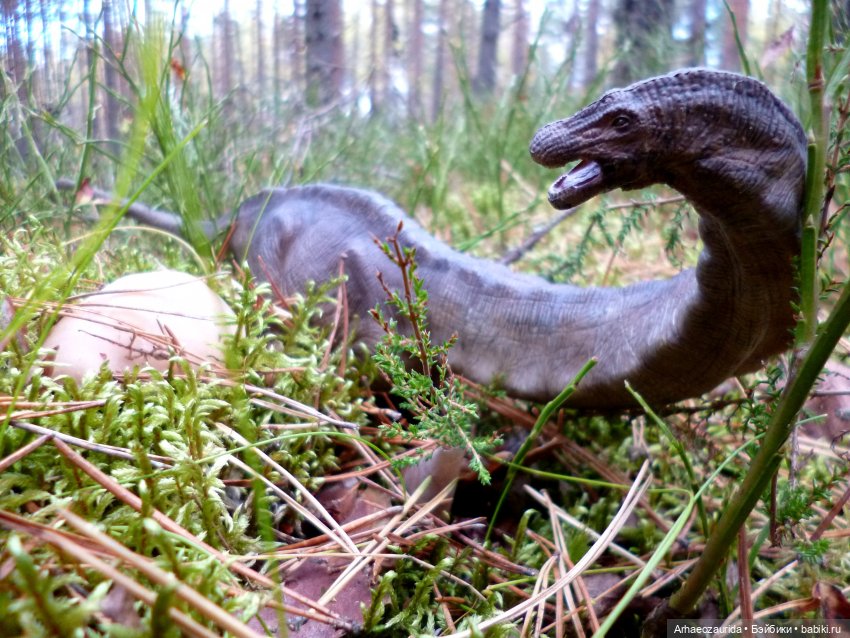 Лесные дела: блуждающий гигант