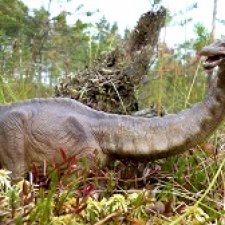 Лесные дела: блуждающий гигант