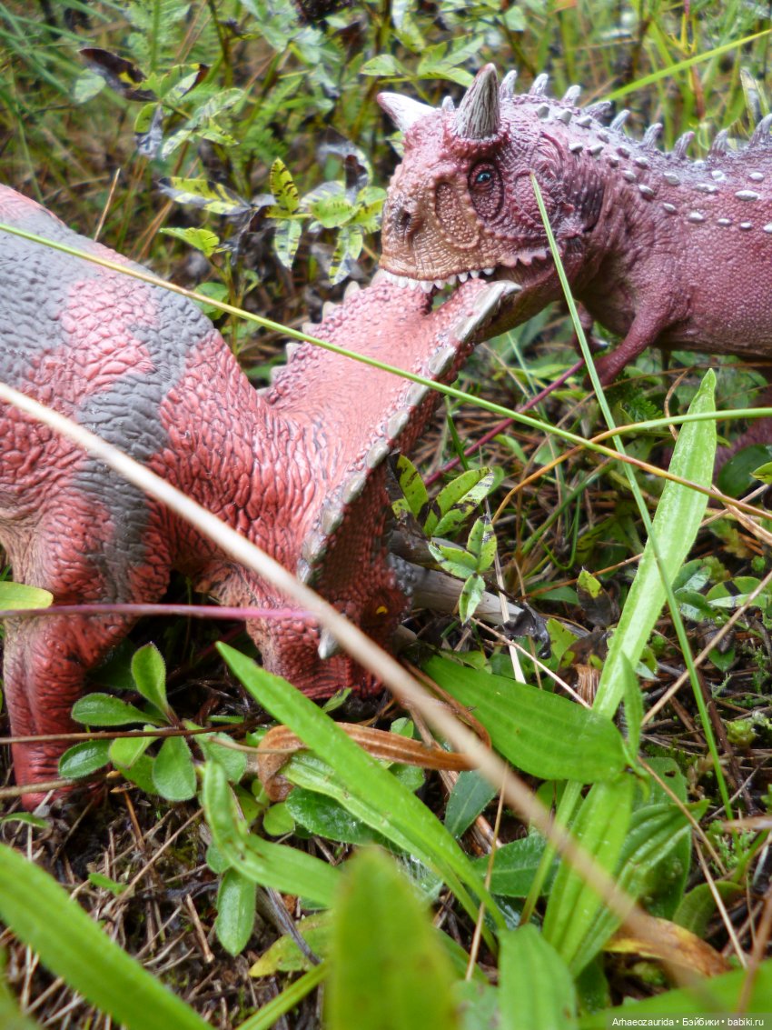 Лесные дела: охота Хазгира