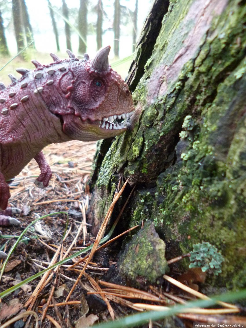 Лесные дела: охота Хазгира (фото 7)