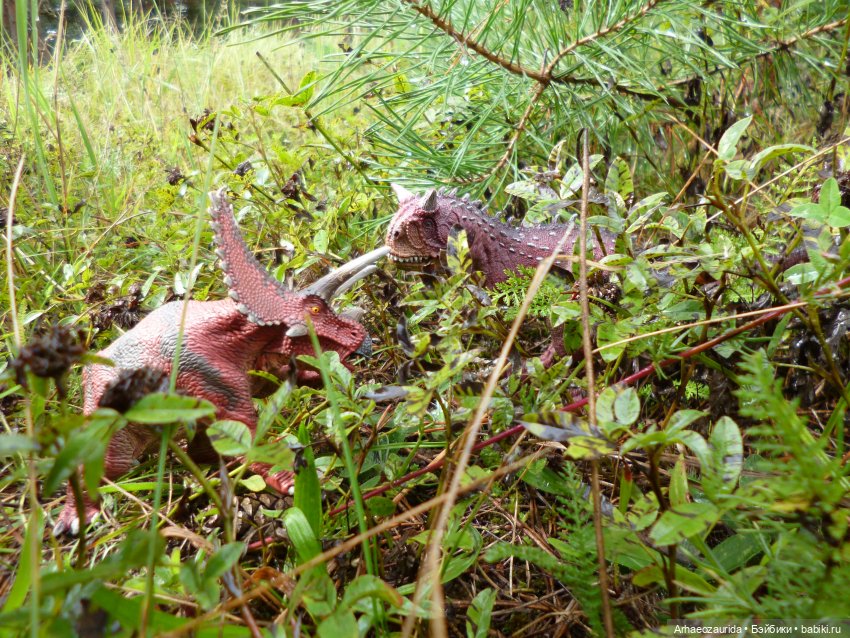 Лесные дела: охота Хазгира (фото 9)