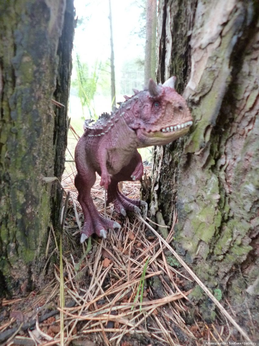 Лесные дела: охота Хазгира (фото 6)