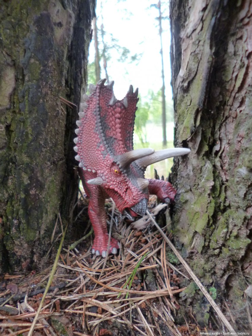 Лесные дела: охота Хазгира (фото 5)