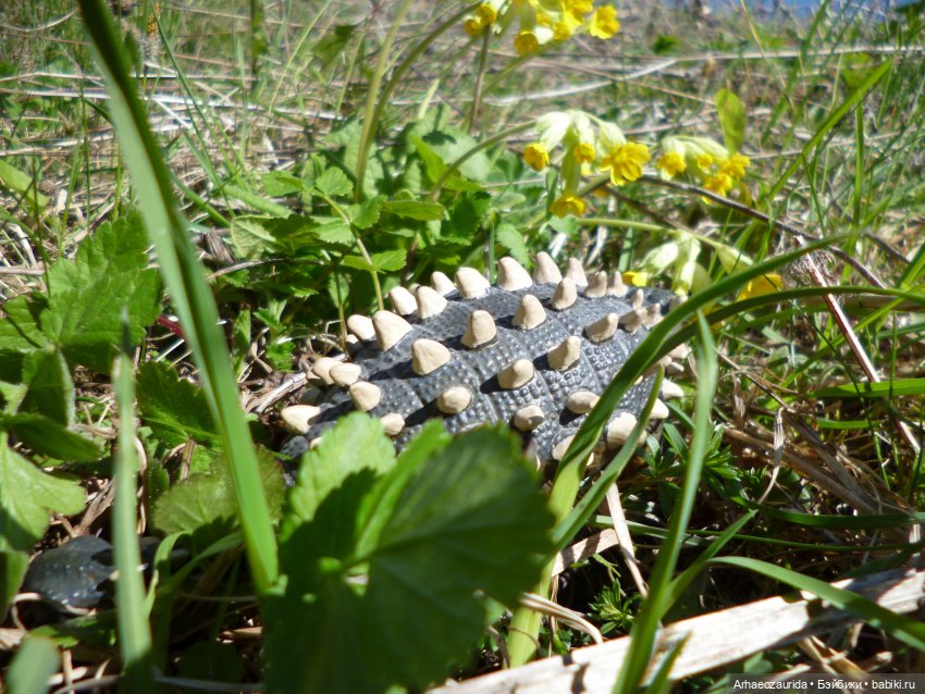 На север: по дороге мха — Интересные игрушки и фигурки (разное): редкие (фото 5)