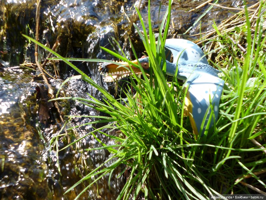 На север: по дороге мха — Интересные игрушки и фигурки (разное): редкие (фото 6)