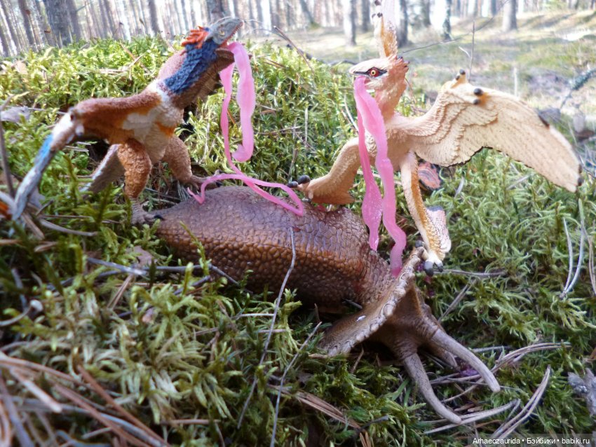 Весенний лёд: стервятники (фото 8)