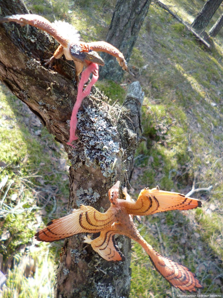 Весенний лёд: стервятники (фото 7)