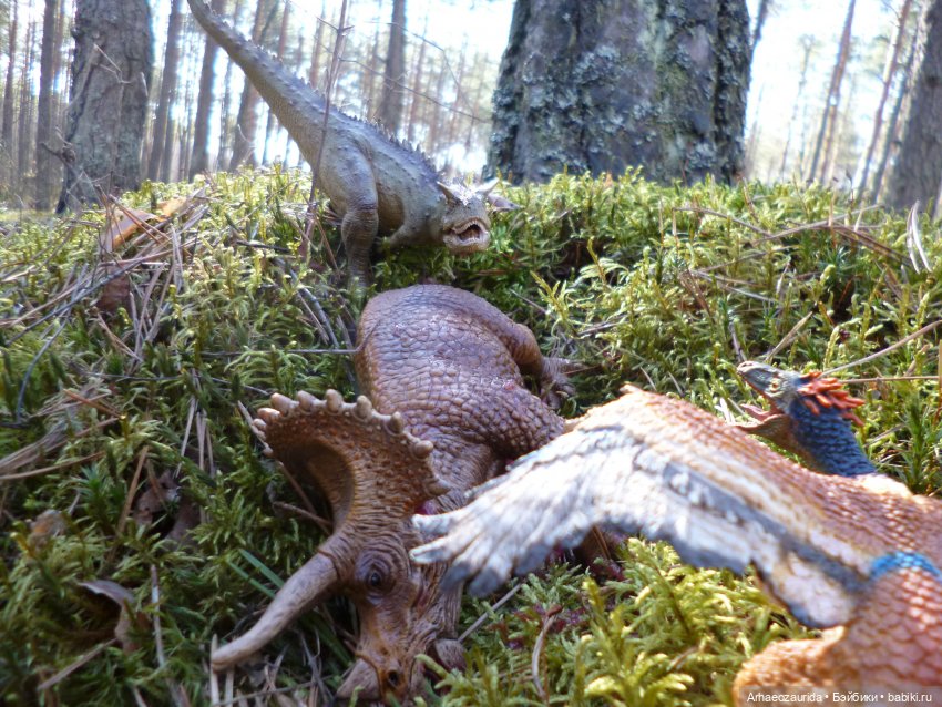 Весенний лёд: стервятники (фото 10)